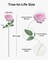 50 Pcs Artificial Pink Roses with Long Stems – Faux Velvet Silk Flowers for DIY Wedding Bouquets, Centerpieces, Party, Home & Bridal Floral Decor